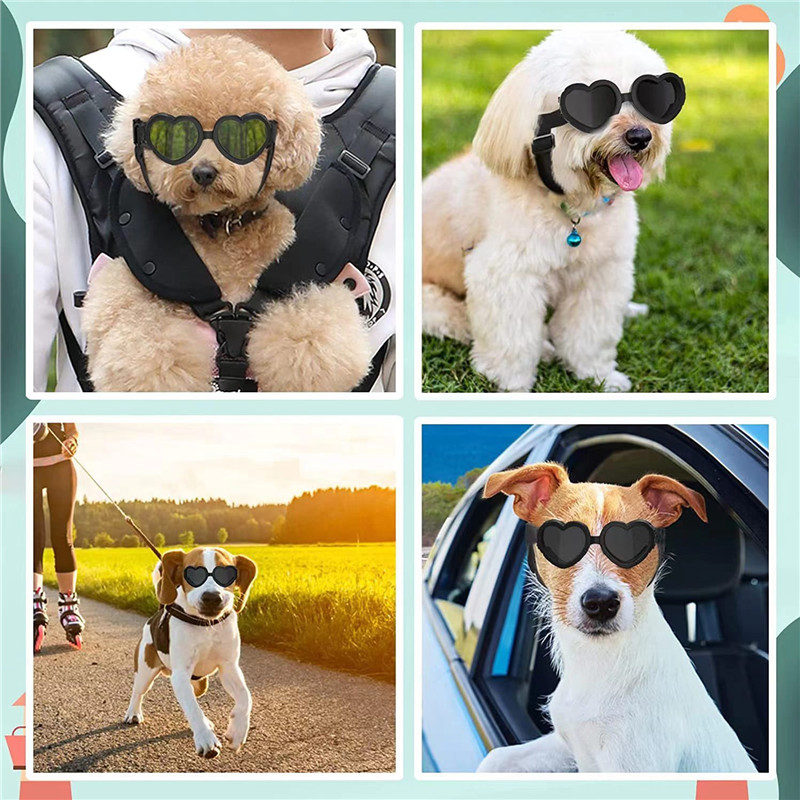 1 PC Heart-shaped Small Dog Su – Sunglass Retainer Cord recenzja i cena